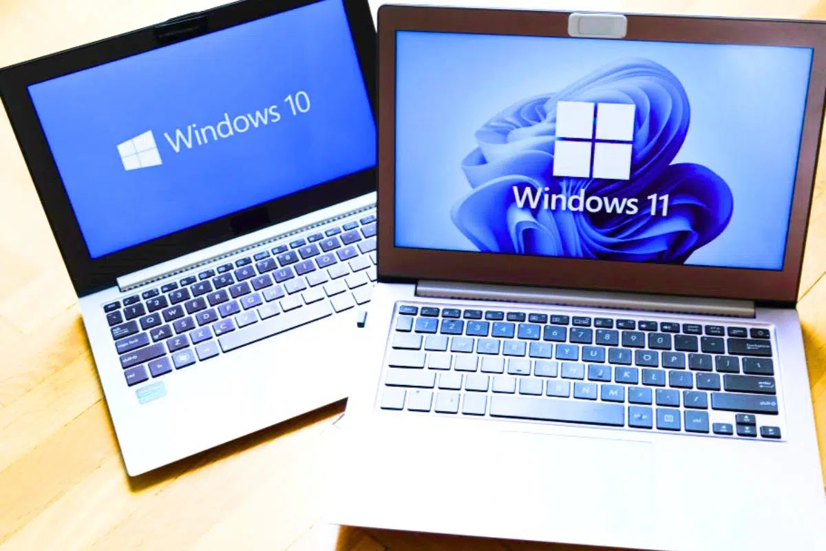 2 ordinateurs portables présentant la migration Windows 10 et Windows 11
